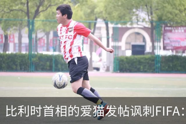 比利时首相的爱猫发帖讽刺FIFA：“红牌？”我照样继续踢！