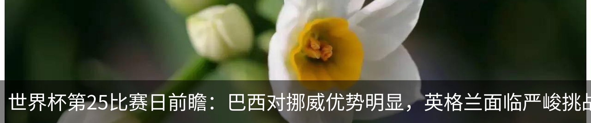 资讯动态