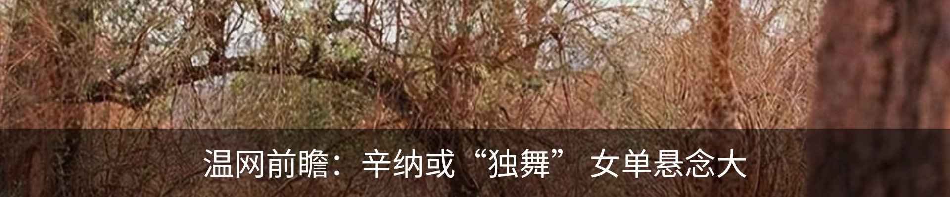 资讯动态